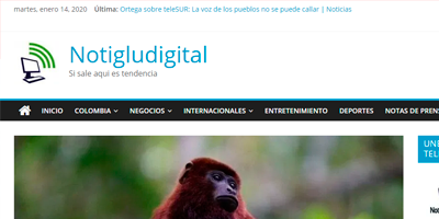 14 monos aulladores volvieron a la libertad en el Magdalena