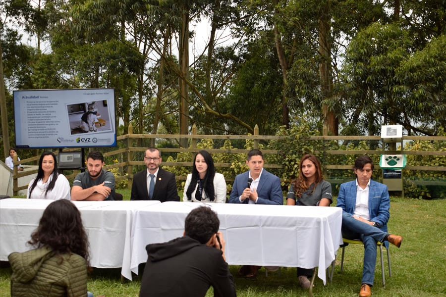 Rueda de prensa primer felino con marcapasos en Colombia