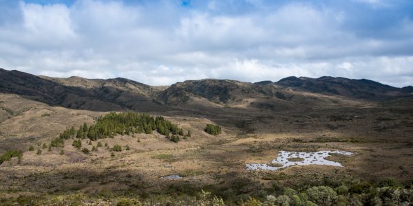 Natural,Water,Production,Area.,One,Of,The,Most,Important,Water