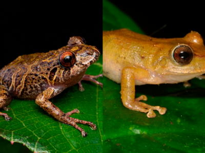 diseno-sin-titulo-3_38875909_20211104163407