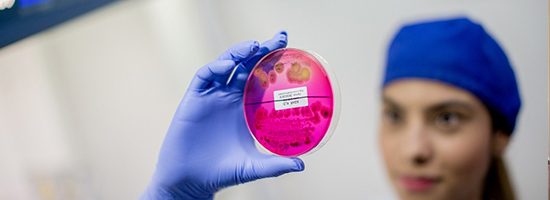 entradilla-laboratorios-icmt