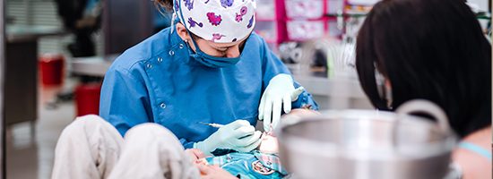 entradilla-odontologia