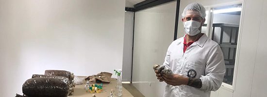 nota-8-Laboratorio-min