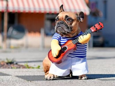 shutterstock-1790050643_38832409_20211028193815