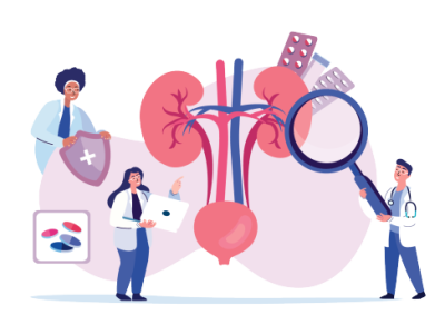 shutterstock-1924970858-renales-convertido_38856722_20211101192402